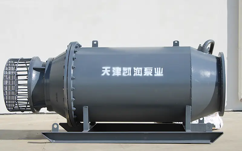 Horizontal axial flow pump with suction strainer and mounting base front view