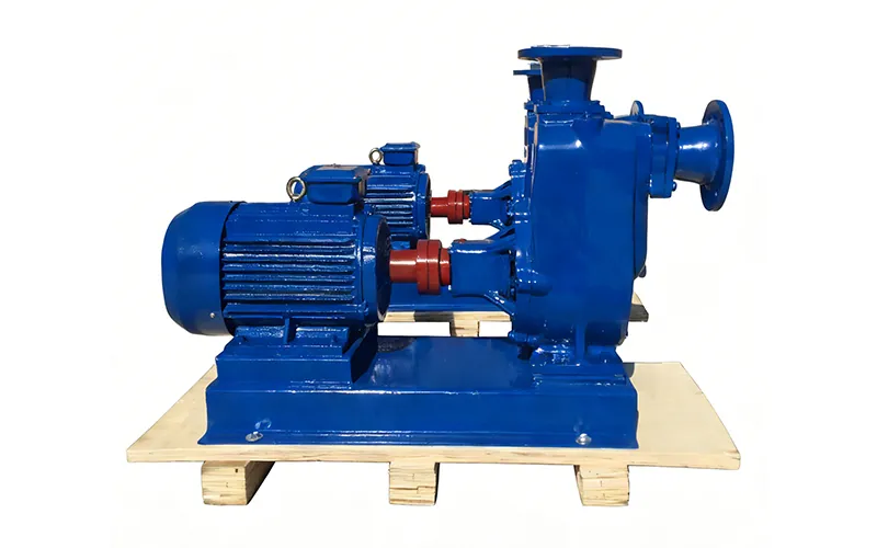 horizontal sewage pump